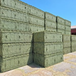 alfalfa deshidratada extra y primeras