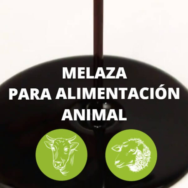 Melaza de Caña Orgánica 2,5Kg