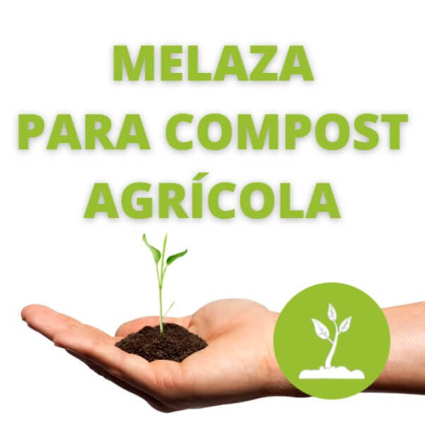 Melaza de Caña Orgánica 2,5Kg