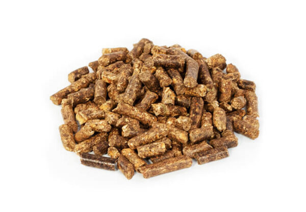 Pellet de Pulpa de Naranja