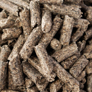 pulpa de remolacha granulada