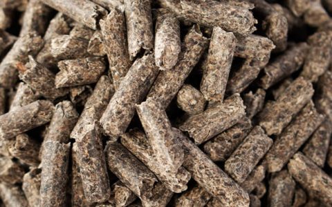 pulpa de remolacha granulada