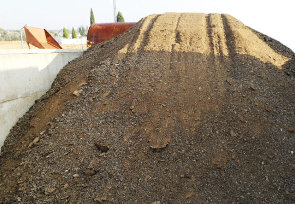 Pulpa de Naranja Secada al Sol