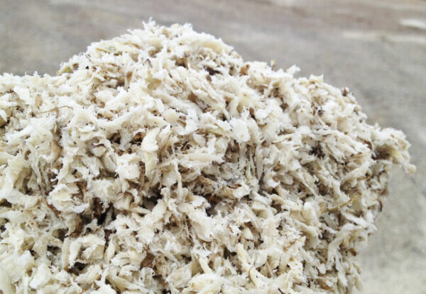 Pulpa de Remolacha Fresca